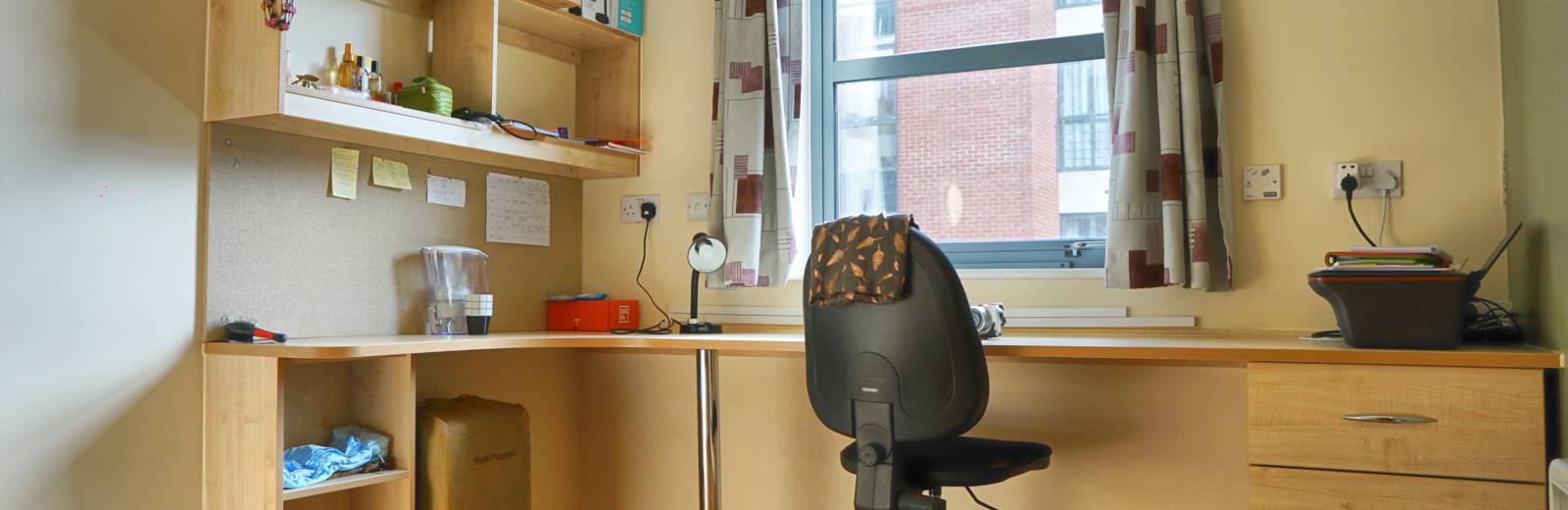 Europa, Liverpool • Student •