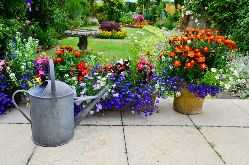 studying in the UK_garden