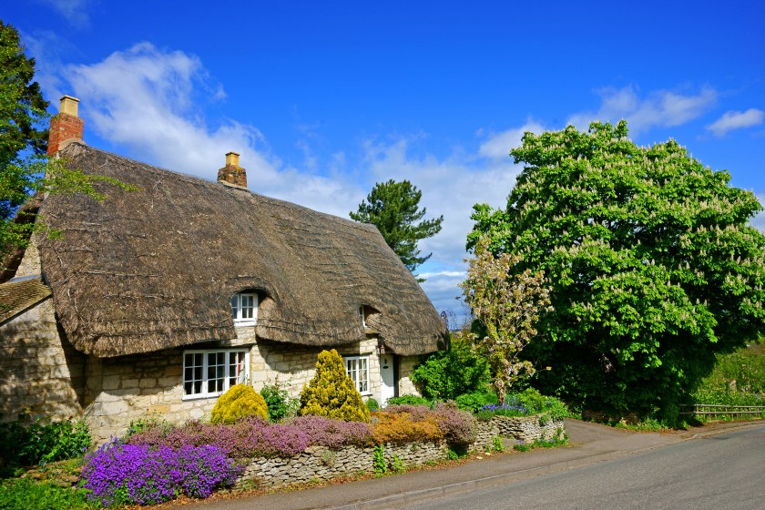 studying in the UK_houses