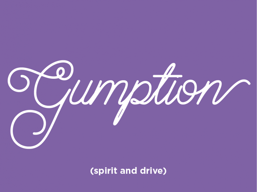 gumption
