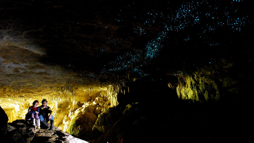 study in New Zealand: glowing caves