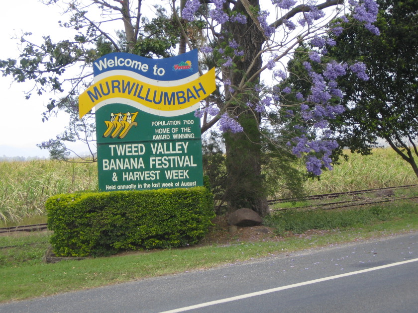 Studying in Australia_Murwillumbah