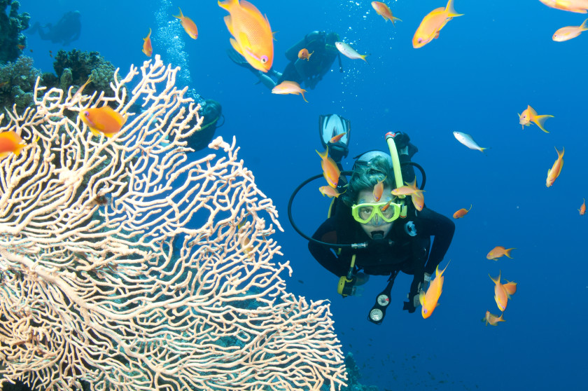 Studying in Australia_diving