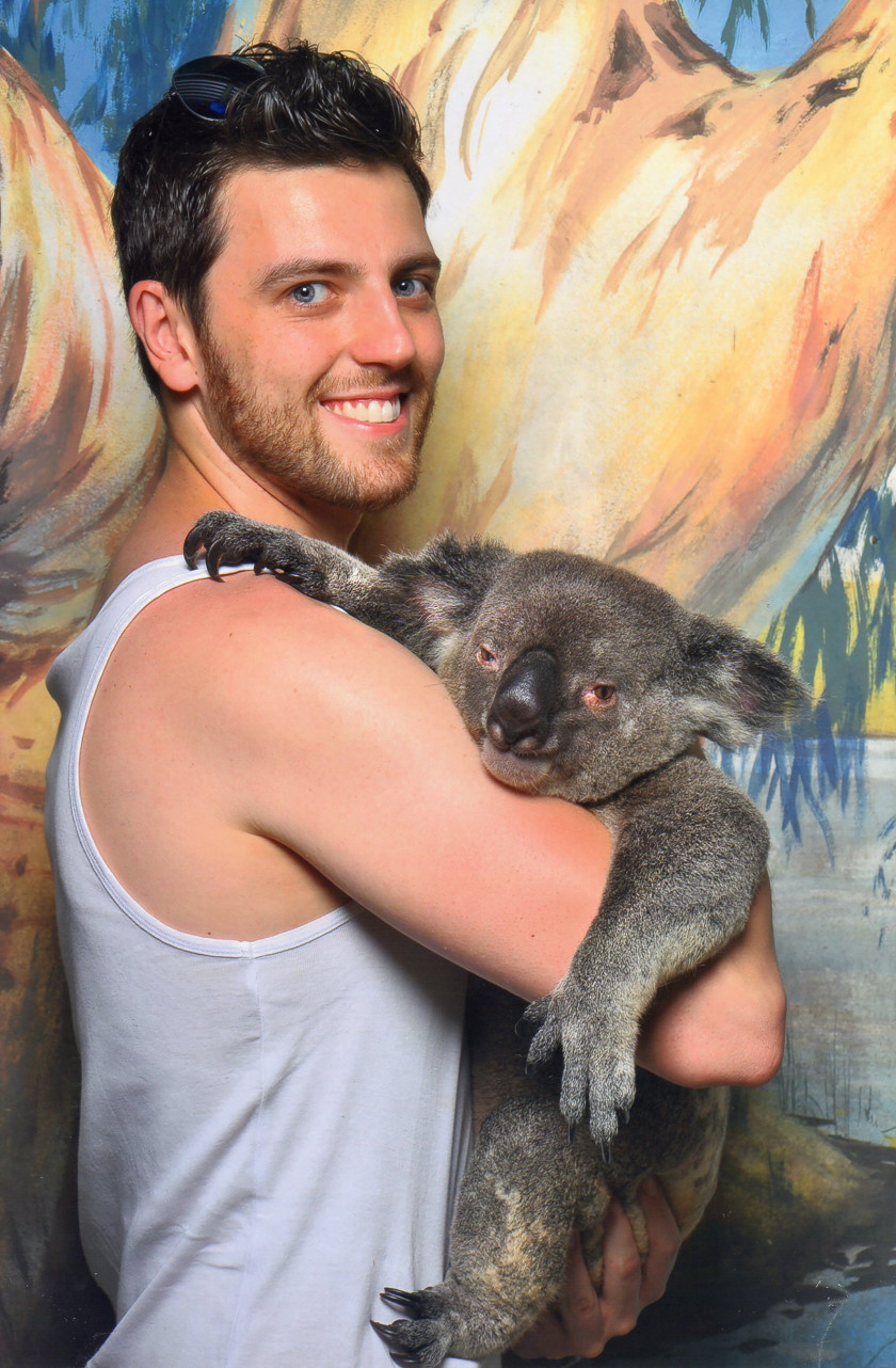 Studying in Australia_koala
