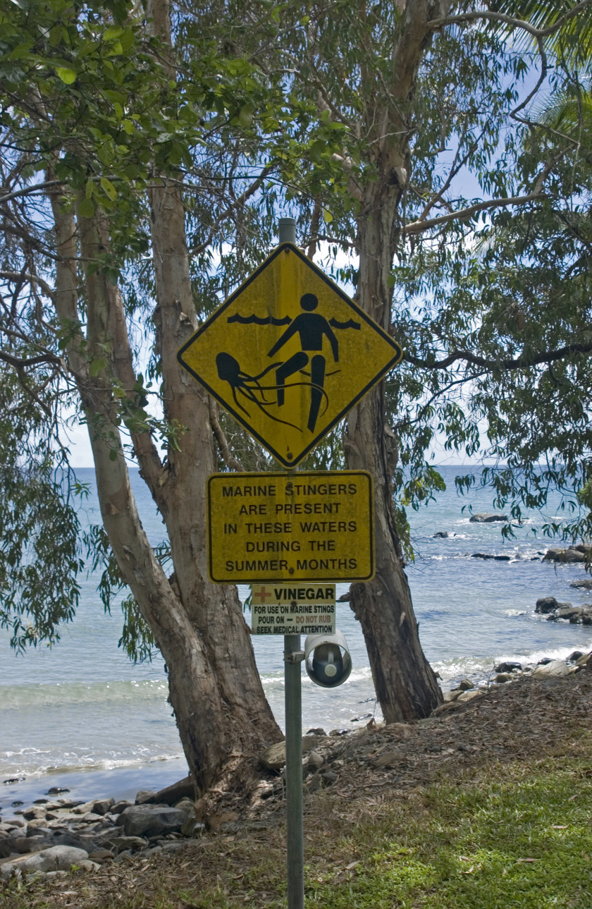 Studying in Australia_roadsign2