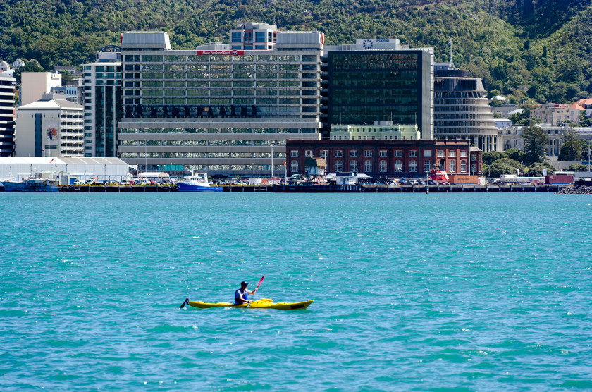 study in new zealand: kayaking auckland