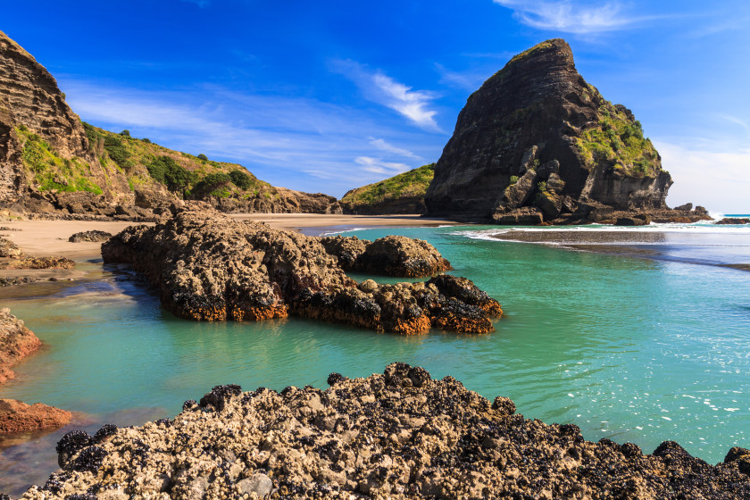 Best Places to Study Abroad beaches: auckland