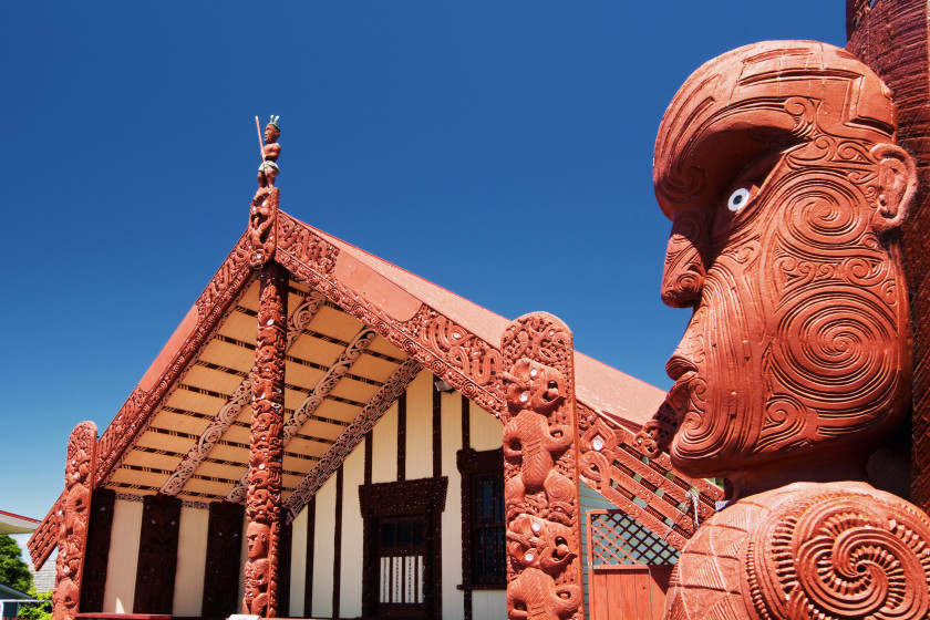 study in new zealand: maori