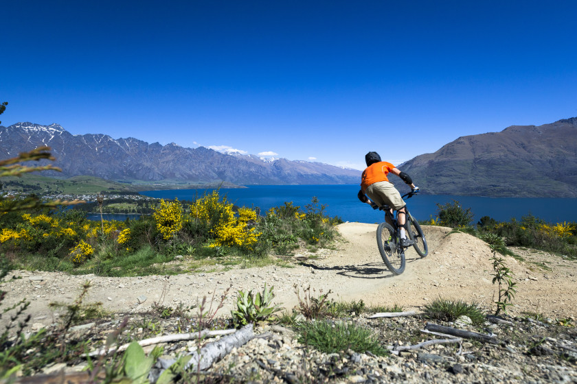 study in new zealand: cycling