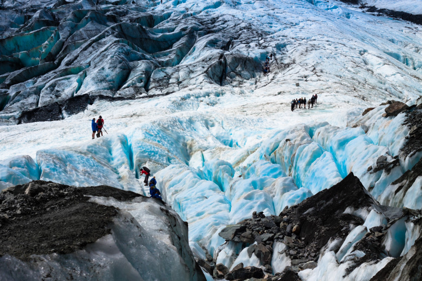 study in new zealand: fox glacier