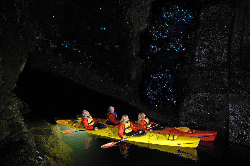 study new zealand gems: glowworm cave