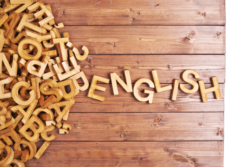 Easy Guide to English Essay_language English 