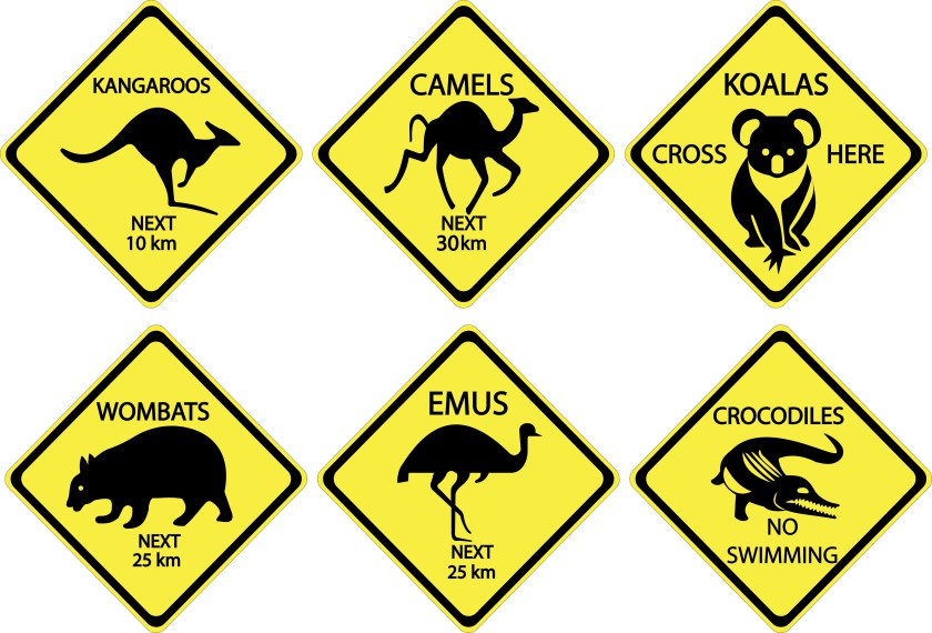 Studying abroad Australian road signs for animals