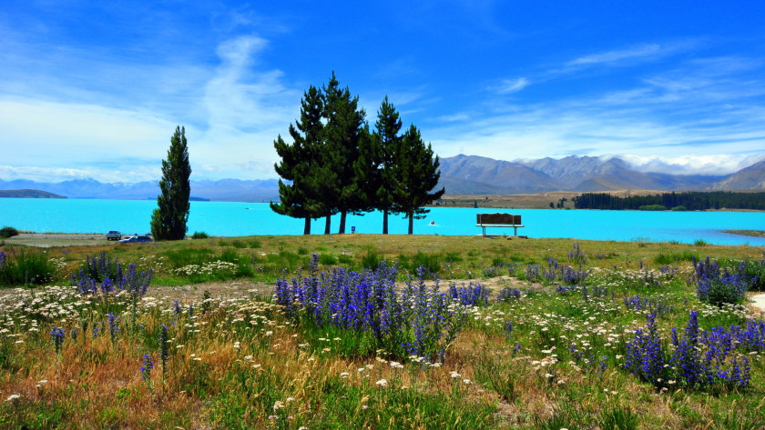 study new zealand gems: lake tekapo