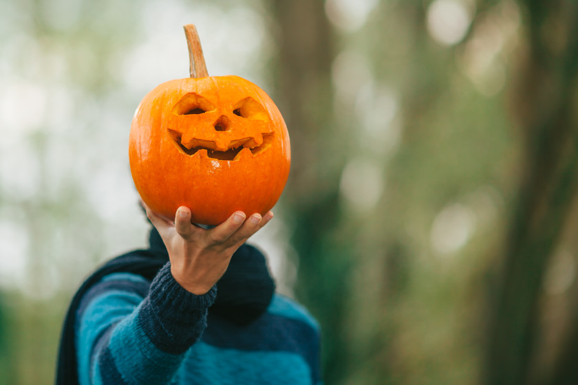 Idioms in different languages_pumpkin