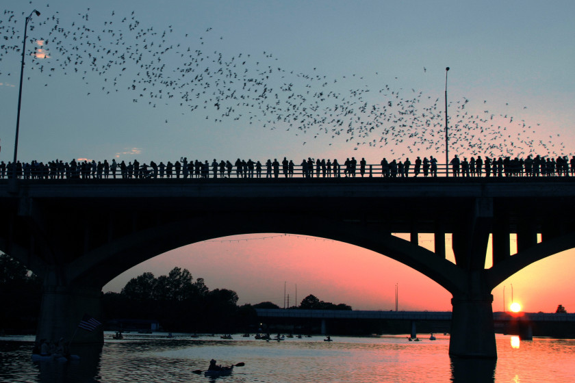 student cities in the us: austin