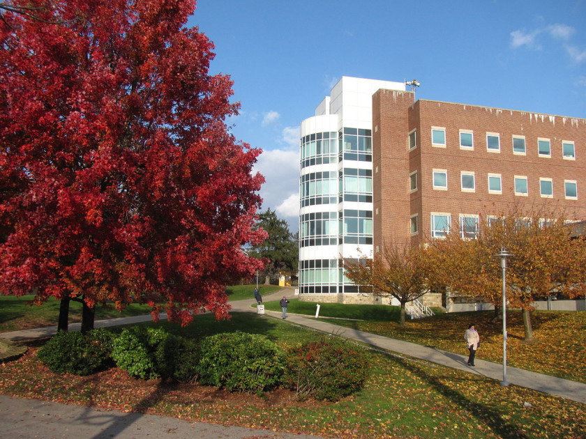 boston universities: brandeis university