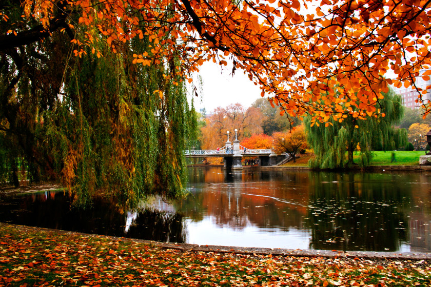 A park in Boston in autumn