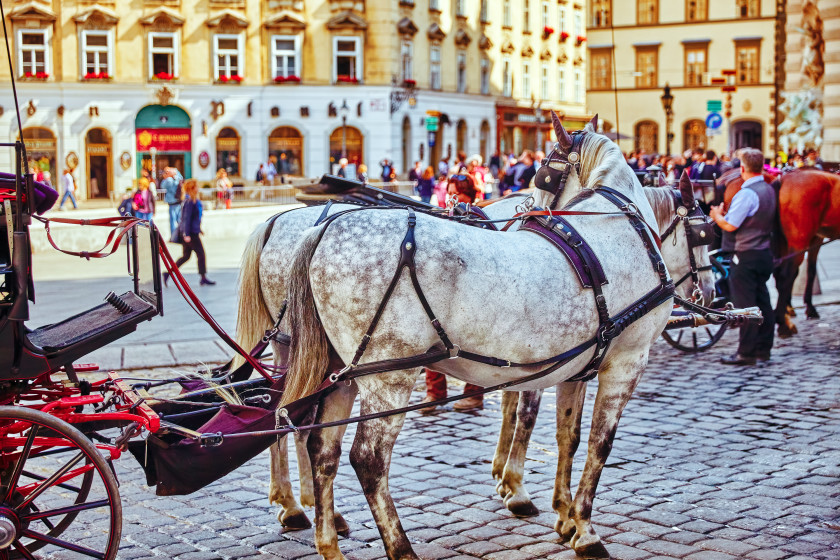 magical european cities: vienna