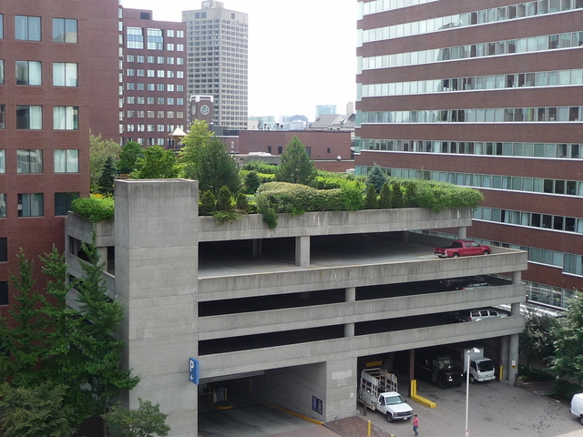 Student Guide To Entertainment In Boston_roof garden