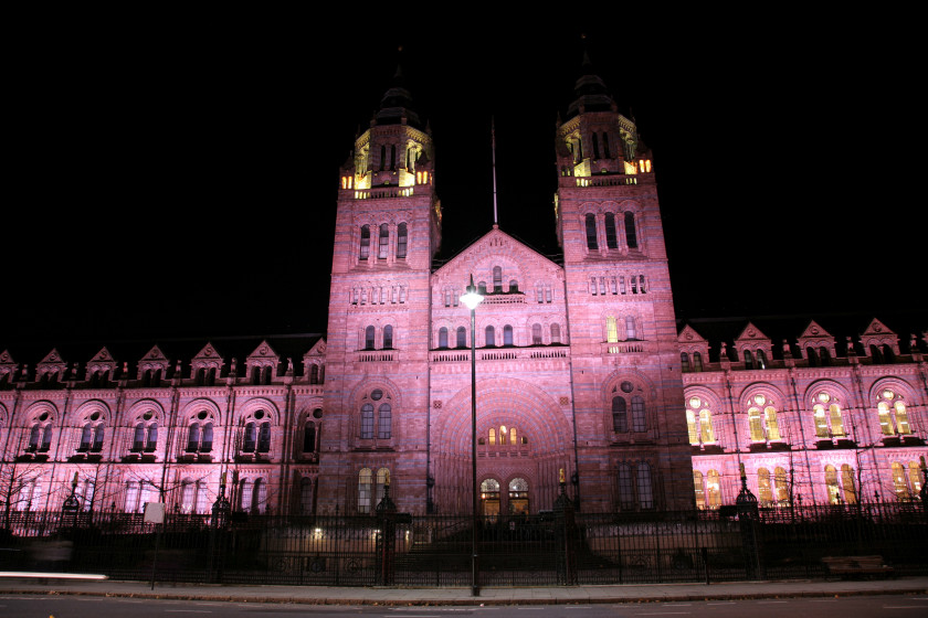 Hacks For International Students In London - Natural History museum