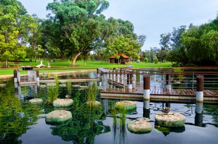 Kings Park in Perth, Western Australia