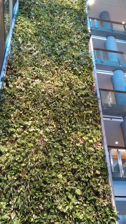 The green wall at the University of Ottawa's Faculty of Social Science building