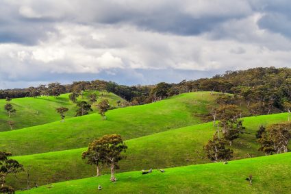 Rolling hills near Adelaide, Australia