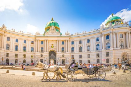 A horse and carriage outside a historical building in Vienna