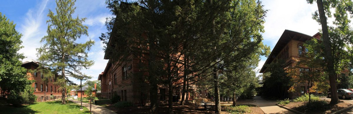top 10 public university usa