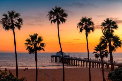 A beach and palm trees in Los Angeles