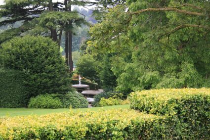 A green view of the Birmingham Botanical Gardens