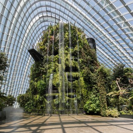 The Cloud Forest in Gardens by the Bay