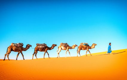 A camel caravan in the Sahara