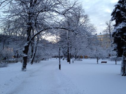 A snowy park in Helsinki during winter