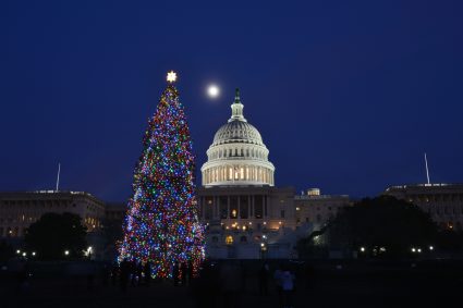 A Christmas tree in front of the United States capitol