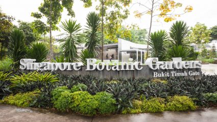 An image of the Botanical Gardens entrance