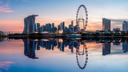 The Complete Student Guide to Singapore